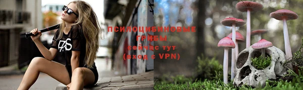 mix Баксан