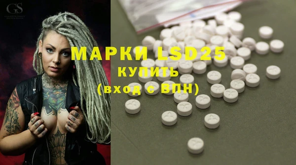 спиды Липки