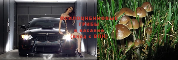 COCAINE Ладушкин
